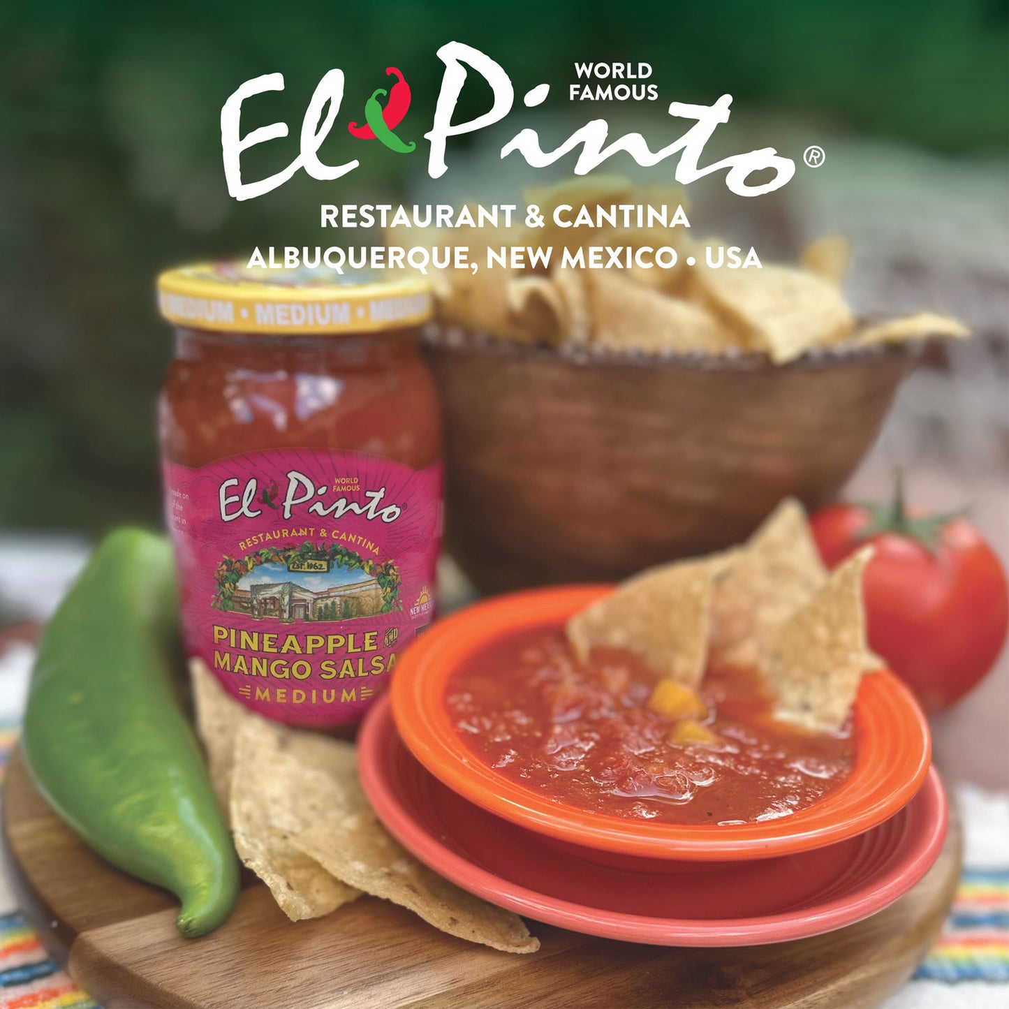 SALSA, MEDIUM PINEAPPLE MANGO SALSA, EL PINTO